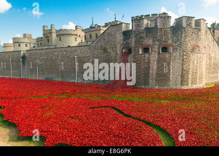 The Tower of London remembers First World War WW1 WWI - Blood Swept Lands & Seas of Red artist Paul Cummins designer Tom Piper Stock Photo