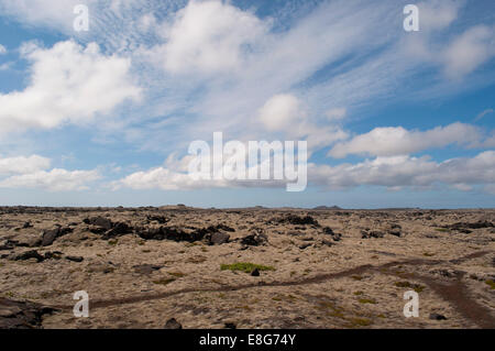 Iceland: landscape with lava fields in Reykjanes Peninsula, large ancient lava fields of black rocks covered with a thick green carpet of moss Stock Photo