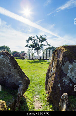 The Grange Stone Circle, Lough Gur, County Limerick, Republic of Ireland - the largest standing stone circle in Ireland Stock Photo