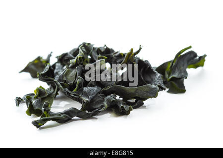 dried seaweed known as pacific wakaame isolated on a white background Stock Photo