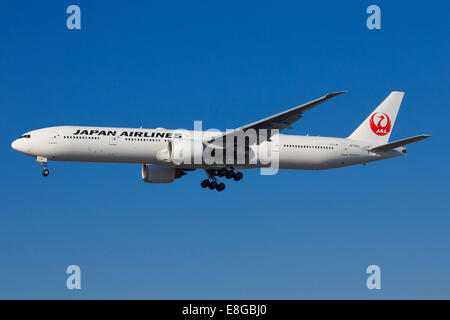 Hogan JAL Boeing 777-300 非ER Japan Airlines Boeing 777 airplane taxiing Aircraft 77W of Japan