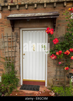 White timber door of English cottage with climbing roses & vivid red flowers on trellis on both sides of door against stone wall Stock Photo