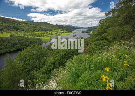 Stunning vast landscape of wildflowers, Loch Tummel, woodlands and distant mountains from Queens View lookout Pitlochry Scotland Stock Photo