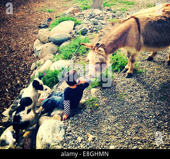 Canada, British Columbia, Boy (12-13) with donkey and dog talking on phone Stock Photo
