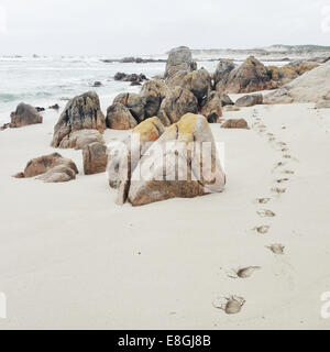 Footprints in sand on beach Stock Photo