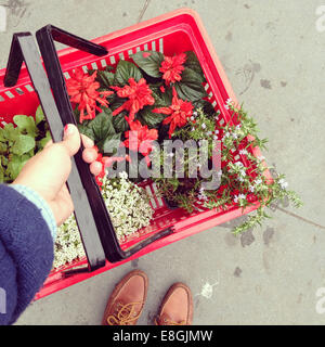 Man carrying a shopping basket with Flowers Stock Photo