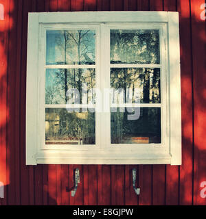 Window with tree reflection Stock Photo