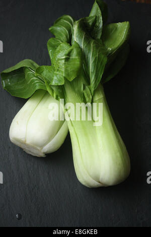 Close-up of Bok Choy Stock Photo