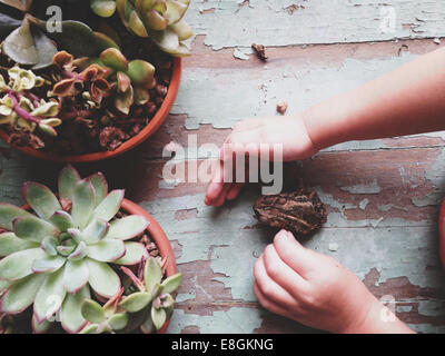 Overhead view of a Boy playing with a toad on a table Stock Photo