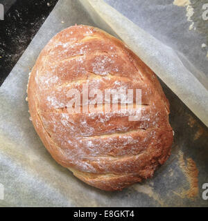 Freshly baked bread on baking paper Stock Photo