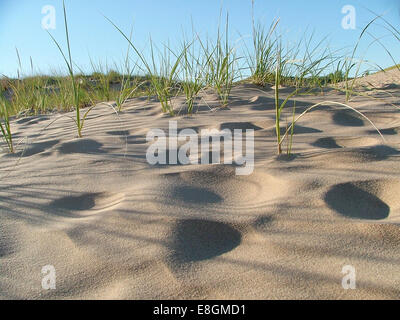 Sleeping Bear Dunes National Lakeshore, Michigan, United States Stock Photo