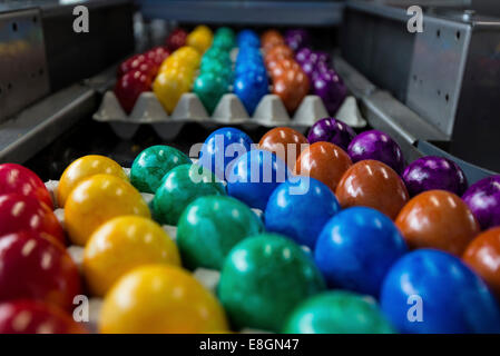 Brightly coloured Easter eggs on a conveyor belt, Beham egg dyeing company, Thannhausen, Bayern, Germany Stock Photo