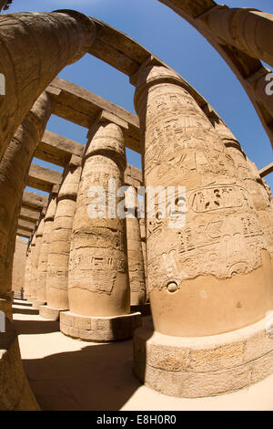 Egypt, Luxor, Karnak Temple, columns of Great Hypostyle Hall, fish eye wide angle distortion Stock Photo