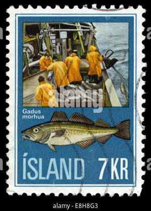 Postmarked stamp from Iceland in the Fish industry series issued in  1971 Stock Photo