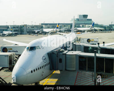Loading Lufthansa Boeing 747 Frankfurt Airport Germany Stock Photo - Alamy