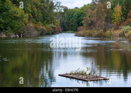 Hydroponic garden floating on the Ausable River in Grand Bend, Ontario, Canada Stock Photo