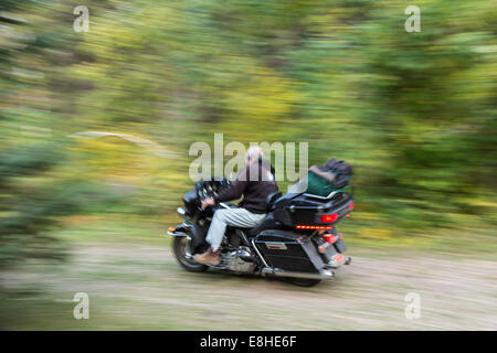 Mature Man Riding Harley Davidson Motorcycle in Spearfish Canyon, Black Hills National Forest, SD, USA Stock Photo