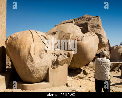 Egypt, Luxor, Ramesseum, Mortuary Temple, fallen Colossus of Ramses II, Stock Photo