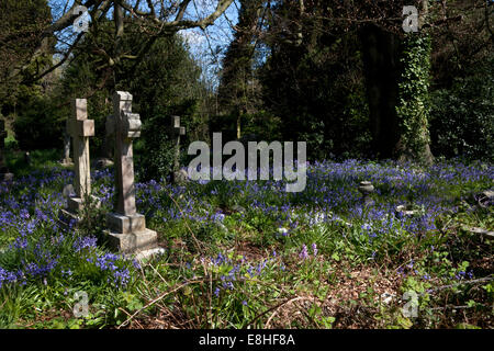 gravestones old cemetery southampton common hampshire england Stock Photo