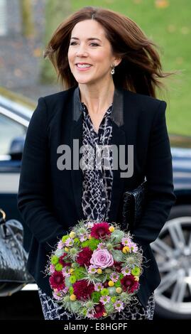 Odense, Denmark. 8th Oct, 2014. Crown Princess Mary of Denmark visits the Tietgen Handelsgymnasium for the project 'Netwerk' in Odense, Denmark, 8 October 2014. Credit:  dpa picture alliance/Alamy Live News Stock Photo