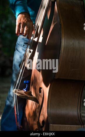 Guy and Tina's Pickin Parlor in Berkeley County, South Carolina. Bluegrass music. Bass player. Stock Photo