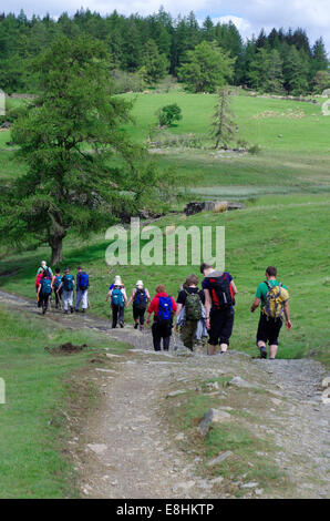 Group of Young People Walking at Claife Heights, Lake District National Park, Cumbria, England, UK Stock Photo
