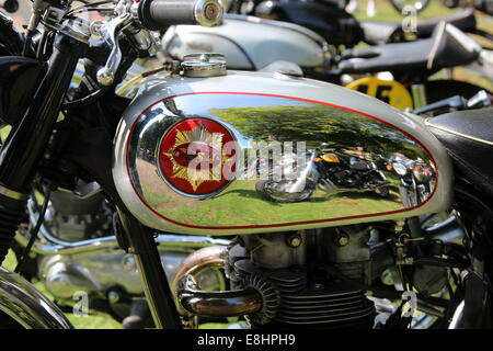 Petrol tank of a BSA motorcycle Stock Photo