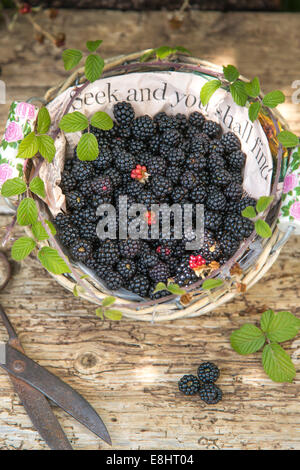 seek  and you shall find, blackberries in paper lined basket against rustic wood and vintage scissors, Stock Photo