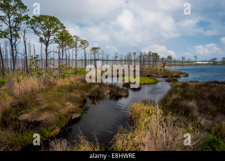 Gator Lake with Little Lagoon in the left background in Bon Secour National Wildlife Refuge, Alabama gulf coast, USA Stock Photo