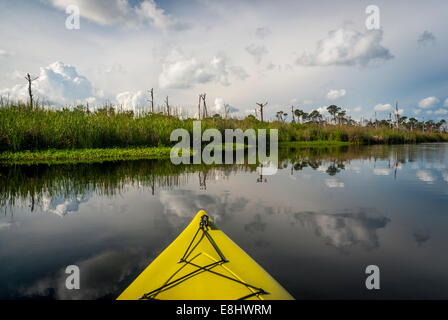 Kayaking in Middle  Lake in Gulf State Park in Gulf Shores, Alabama, along the Alabama Gulf Coast. Stock Photo