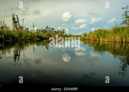 Kayaking in Little Lake in Gulf State Park in Gulf Shores, Alabama, along the Alabama Gulf Coast. Stock Photo