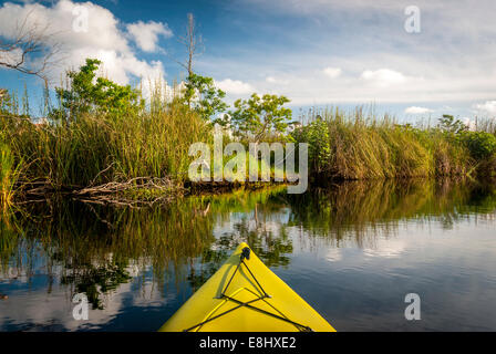 Kayaking in Middle Lake in Gulf State Park in Gulf Shores, Alabama, along the Alabama Gulf Coast. Stock Photo