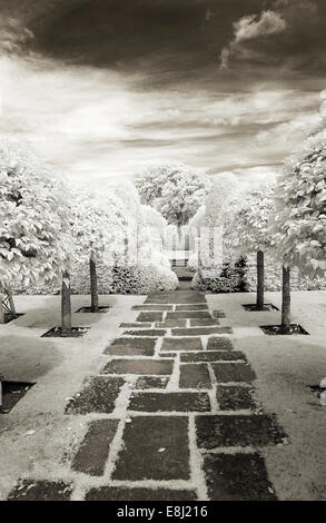 Infrared photograph of a classic English garden, pathway through lawn. lines of trees either side at Wollerton Old Hall (NGS) Ma Stock Photo