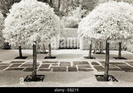 Infrared photograph of a classic English garden, wooden bench near hedges, pathway through lawn at Wollerton Old Hall (NGS) Mark Stock Photo