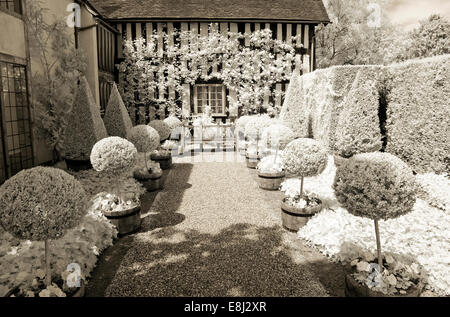 Infrared photograph of a classic English garden, box balls and pyramids either side of gravel path, with wooden bench as focal p Stock Photo