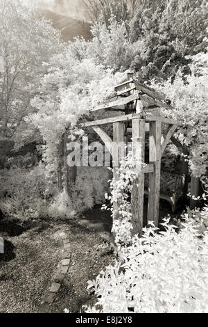 Infrared photograph of a classic English garden, Oak Gazebo at Wollerton Old Hall (NGS) Market Drayton in Shropshire early summe Stock Photo