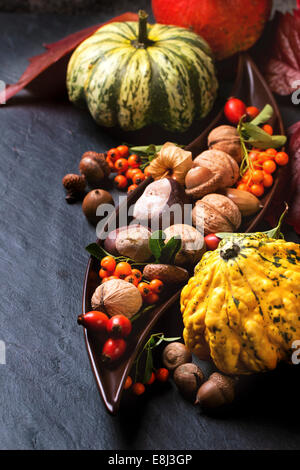 Pumpkins, nuts, berries and mushrooms chanterelle over black background. Stock Photo