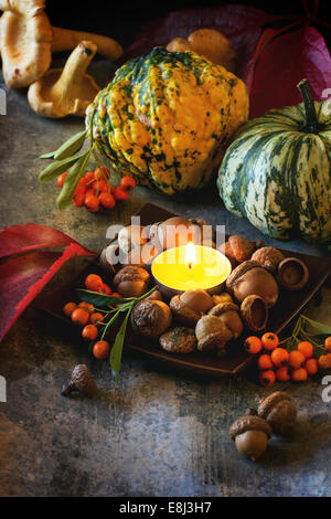 Pumpkins, nuts, berries and mushrooms chanterelle with burning candle Stock Photo