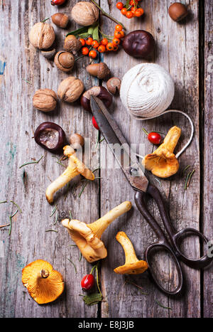 Chanterelle mushrooms, nuts and berries with vintage scissors and thread over wooden background. Stock Photo