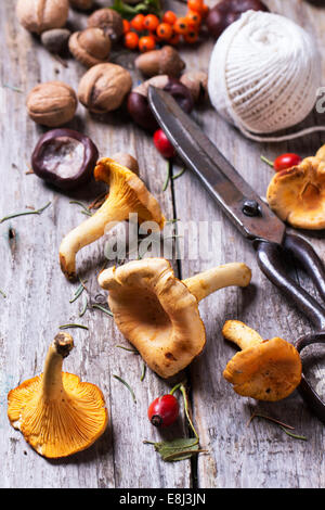 Chanterelle mushrooms, nuts and berries with vintage scissors and thread over wooden background. Stock Photo