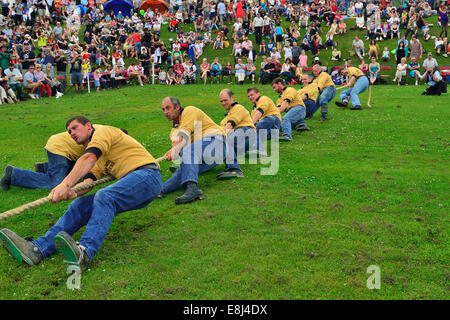 Tug-of-War, one of the disciplines at the Highland Games, Dufftown, Moray, Highlands, Scotland, United Kingdom Stock Photo