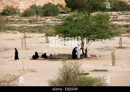 Locals having picnics under the shade of the trees in the Wadi Hanifa, near Riyadh, Saudi Arabia Stock Photo