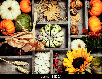 Autumn composition  in wooden box Stock Photo