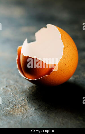 Eggs shell on dark background Stock Photo