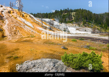 Calcium Carbonate deposits from hot springs in the heart of Yellowstone National Park near Mammoth, Wyoming, USA. Stock Photo