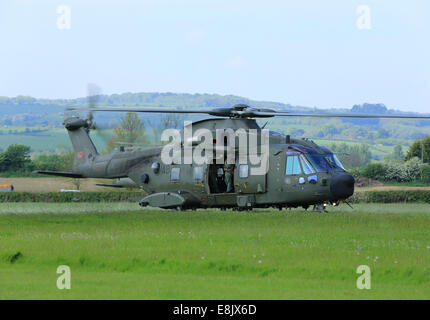 An RAF Merlin helicopter about to lift off on exercise from the farm field Stock Photo