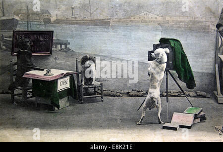 Dec. 1, 2009 - Postcard printed in Russia shows Dog's photography, circa 1907 (Credit Image: © Igor Golovniov/ZUMA Wire/ZUMAPRESS.com) Stock Photo