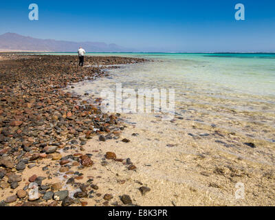 Egypt, Sinai, Sharm el Sheikh, Nabq National Park, Managed Resource Protection Area, tourist on shoreline Stock Photo