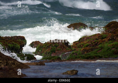 Rock pools at Mission Rocks - iSimangaliso Wetland Park, South Africa Stock Photo