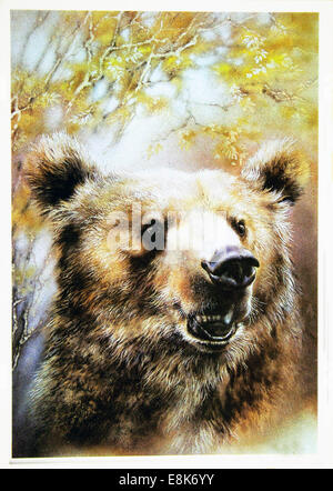 Dec. 2, 2009 - Reproduction of antique postcard shows Bear, circa 1989, USSR. (Credit Image: © Igor Golovniov/ZUMA Wire/ZUMAPRESS.com) Stock Photo